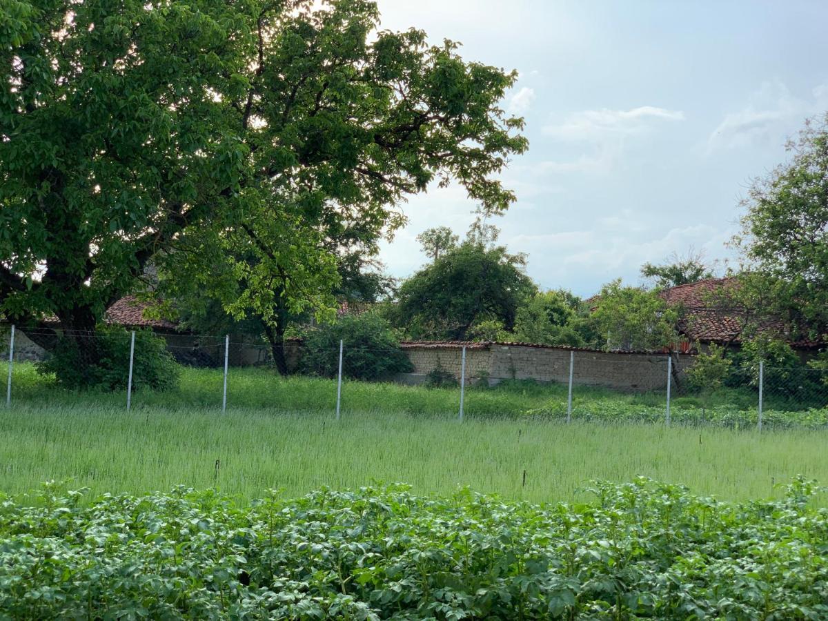 Вила В С. Габарево, Долината На Розите. Gabarevo Exterior photo